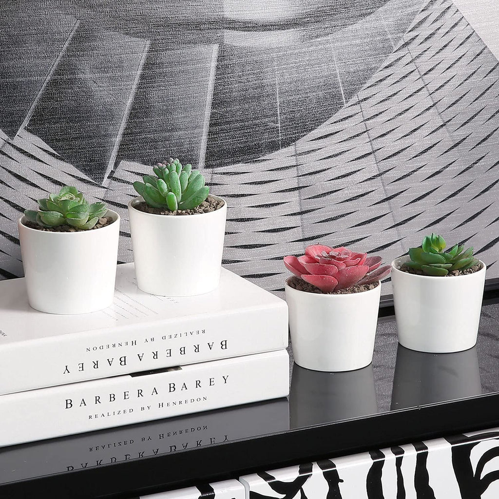 4 Piece White Ceramic Planter Pots D900876