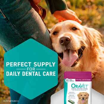 Dental Hygiene Chews Dogs V327