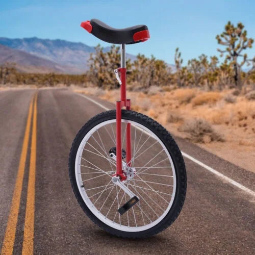 24 Unicycle with Adjustable Seat Q749139