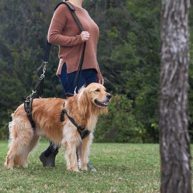 Front Rear Lift Dog Harness M786
