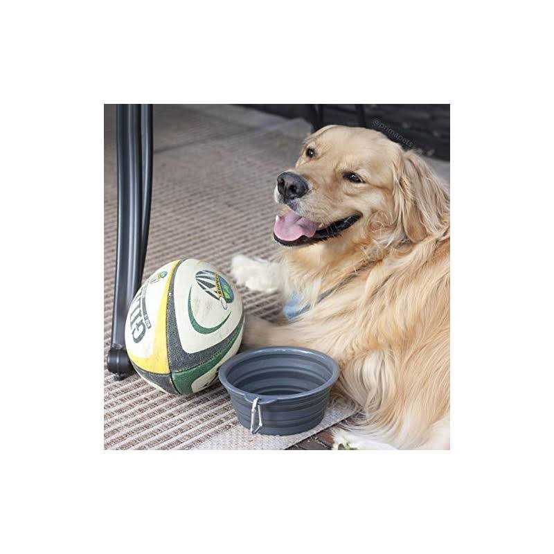 Collapsible Silicone Water Travel Bowl with Clip D38346