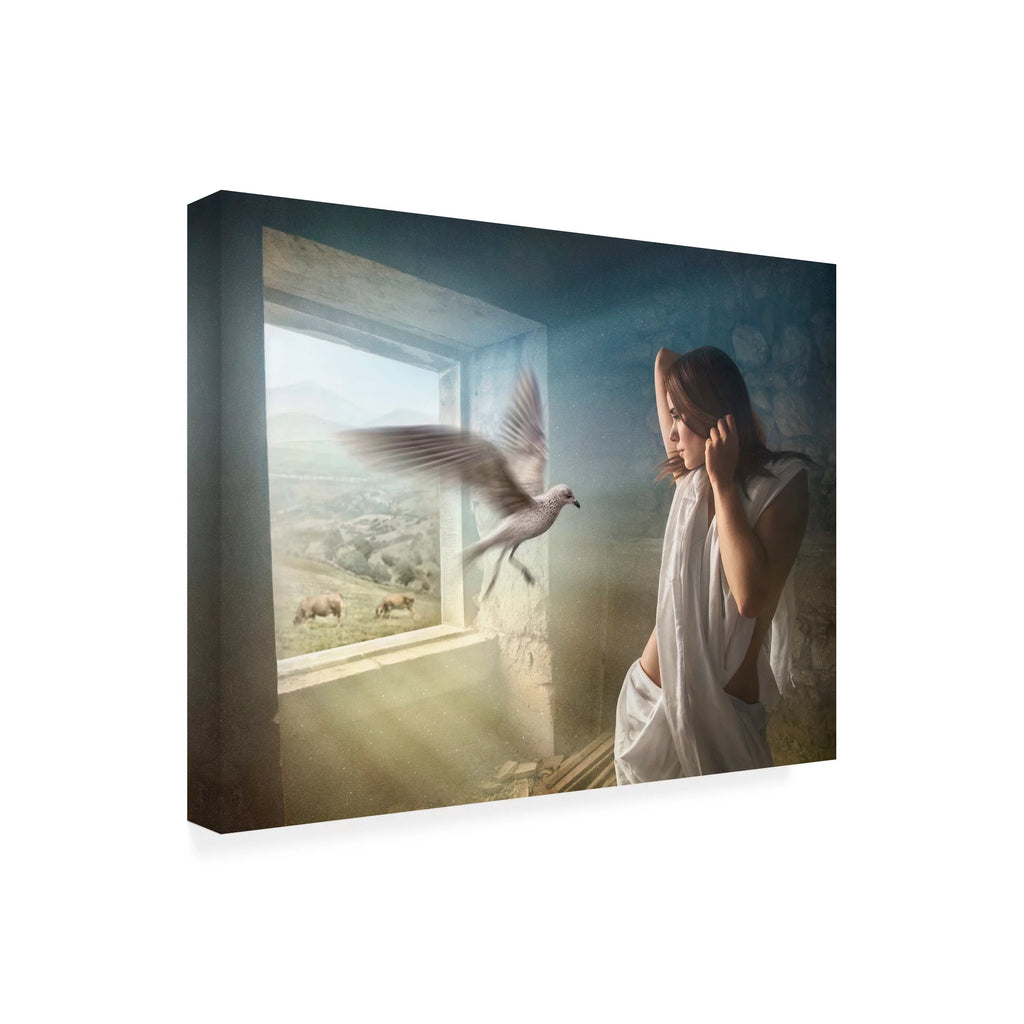 Canvas Art T498