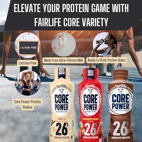Chocolate Protein Milk Shakes, 14 Fl Oz (Pack of 12) and Key Chain G181