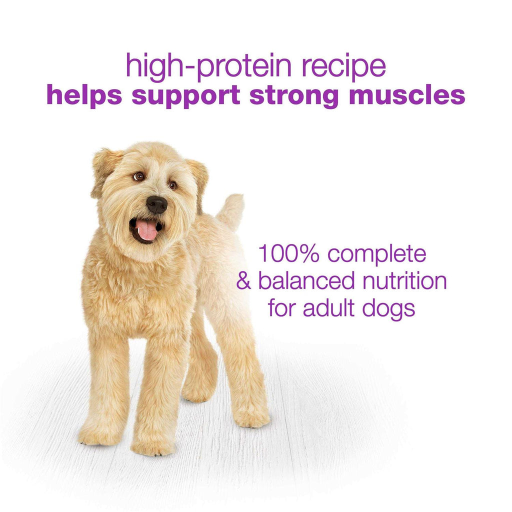 Wet Dog Food U983047