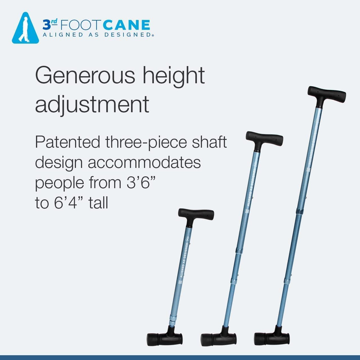 Cane Pack of 2 V975469
