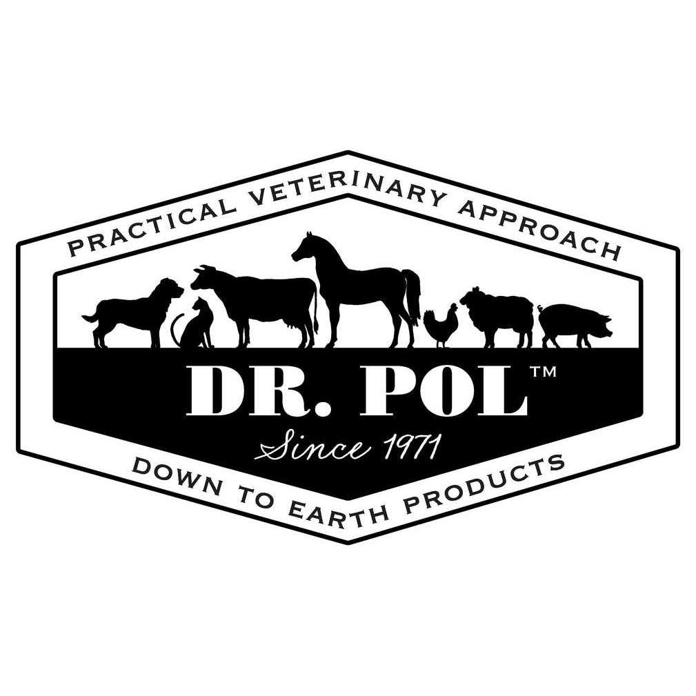Chicken Recipe Dry Dog Food D24067