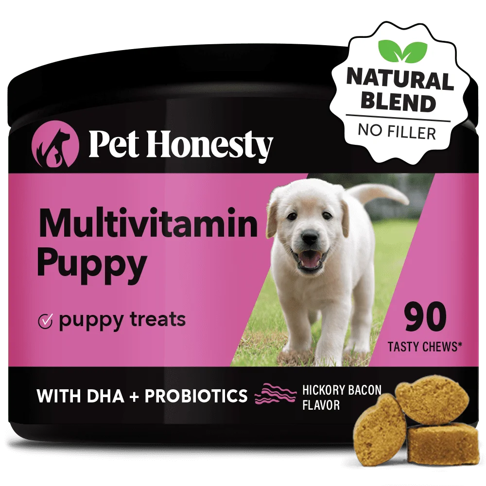 Puppy Multivitamin Soft Chews with DHA and Probiotics V63338