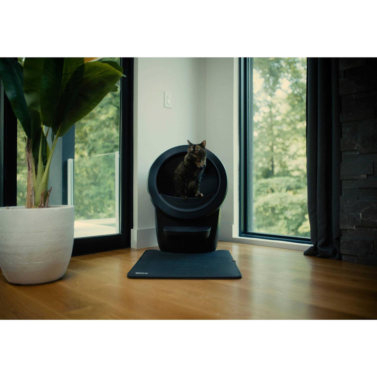 Cat Mat I84383