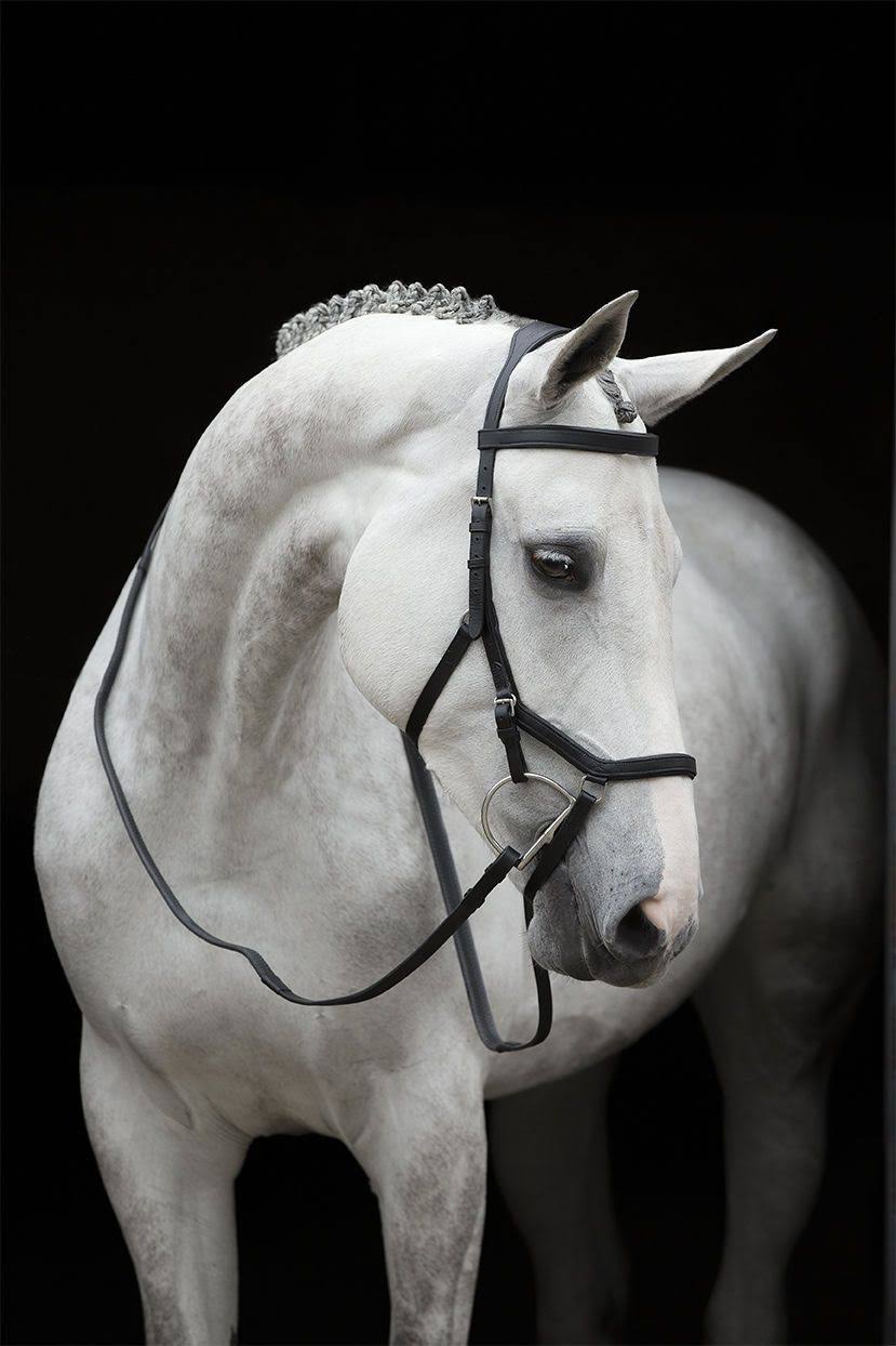 Brown Competition Bridle U964290
