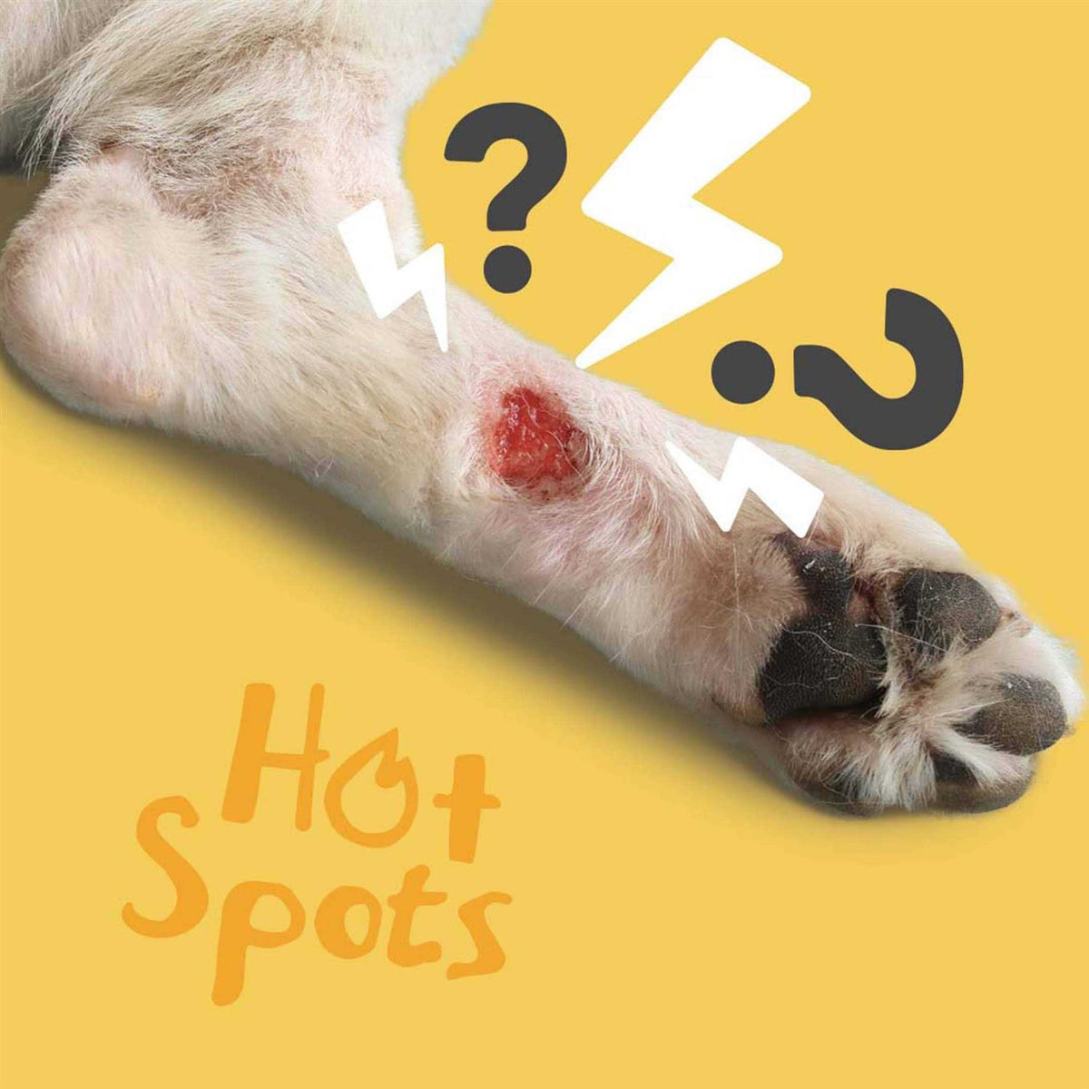 Hot Spot Wound Care Spray Gel M9625