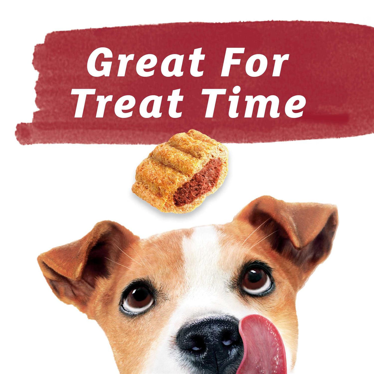 Baked Dog Treats X57474