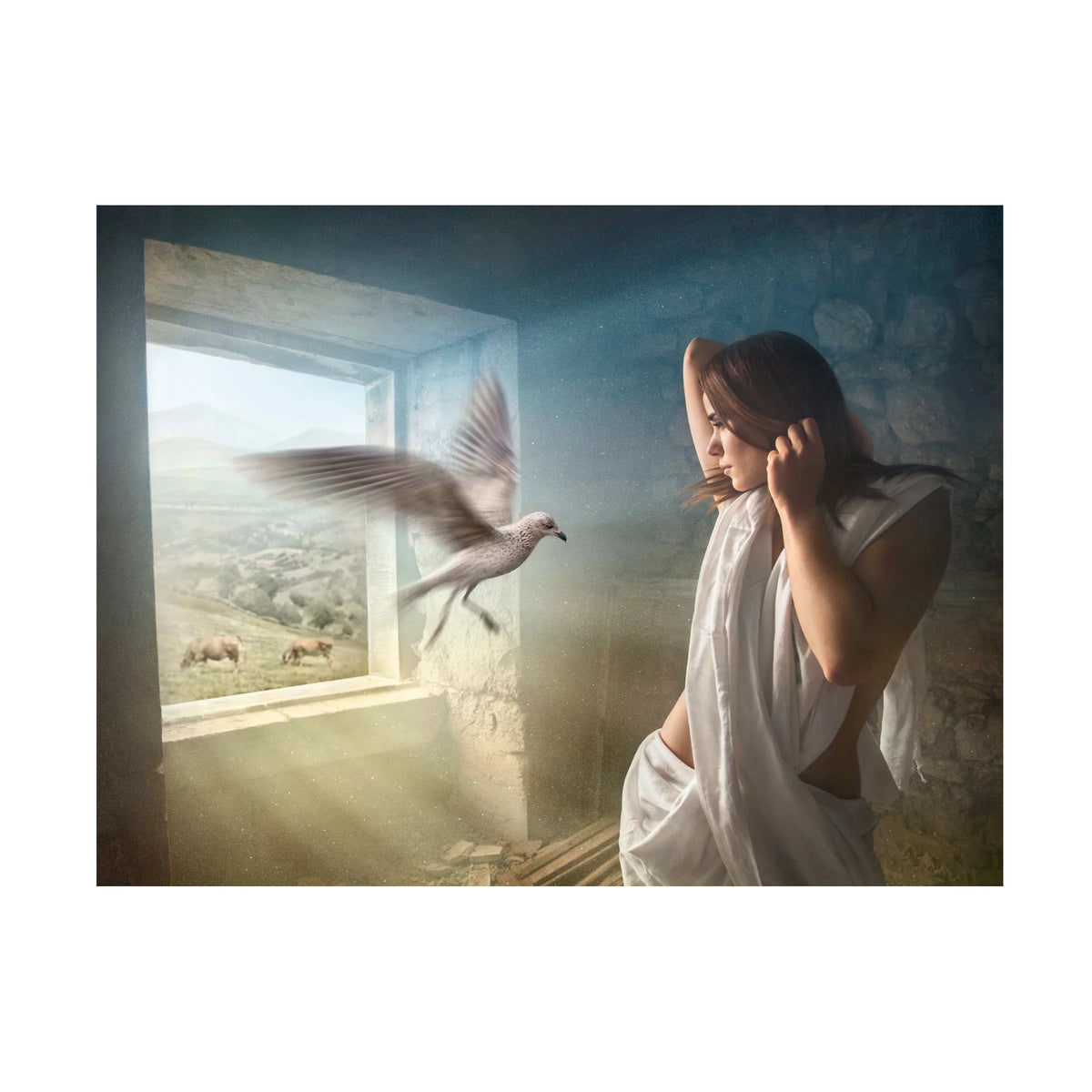 Canvas Art T498