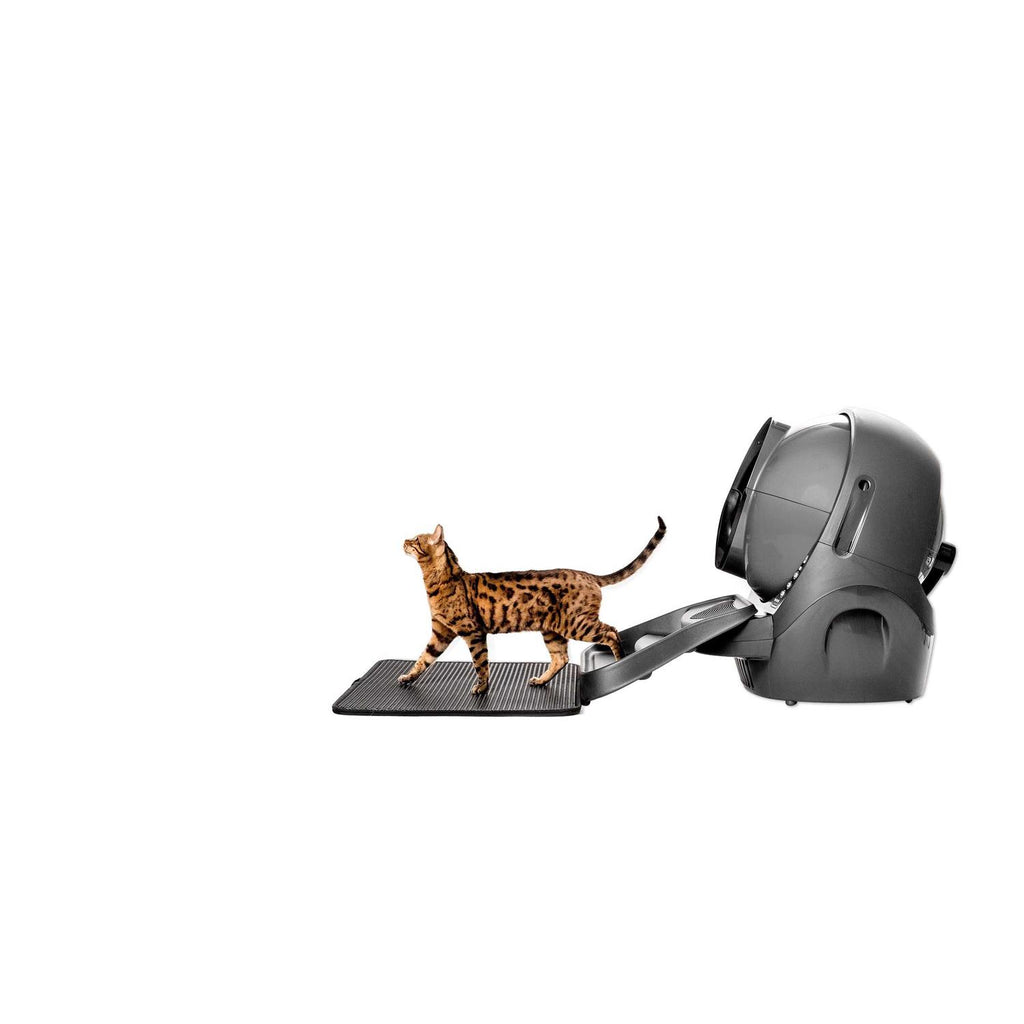 Cat Mat I84383