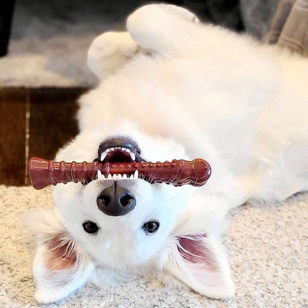 Beef Jerky X-Large Dog Chew Toy M396760