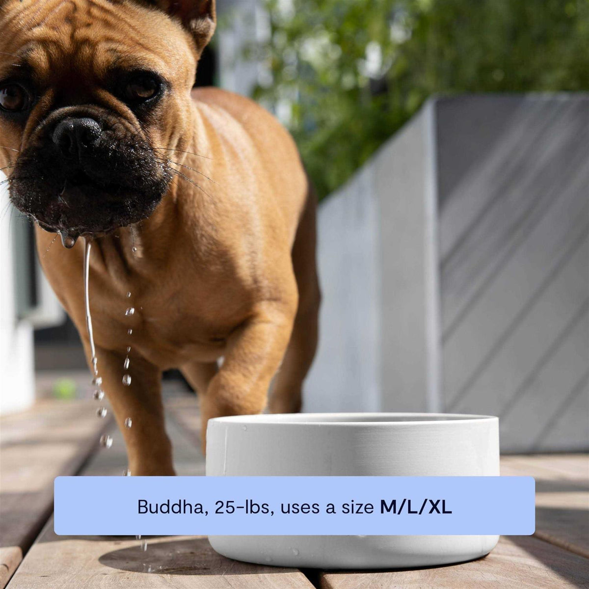 Pet Bowl N7619