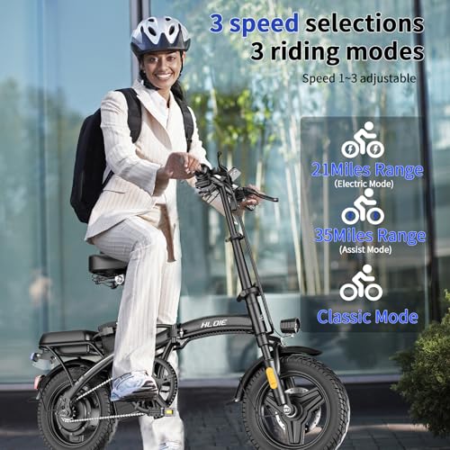 14" 400W 48V12AH Folding Electric Bike R432
