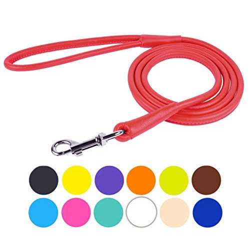 Leather Dog Leash X4546