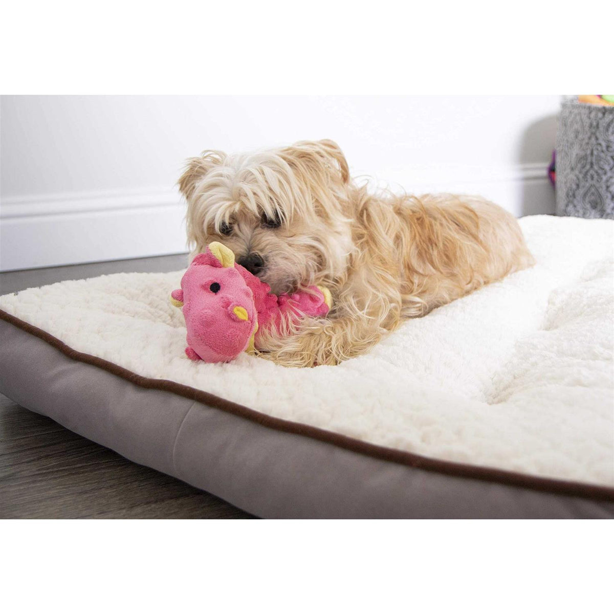 Dog Toy Y2903