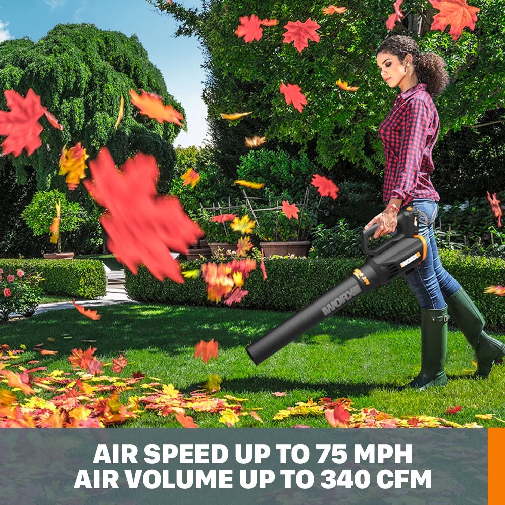 20 Volt Cordless 2 Speed Leaf Blower R953078