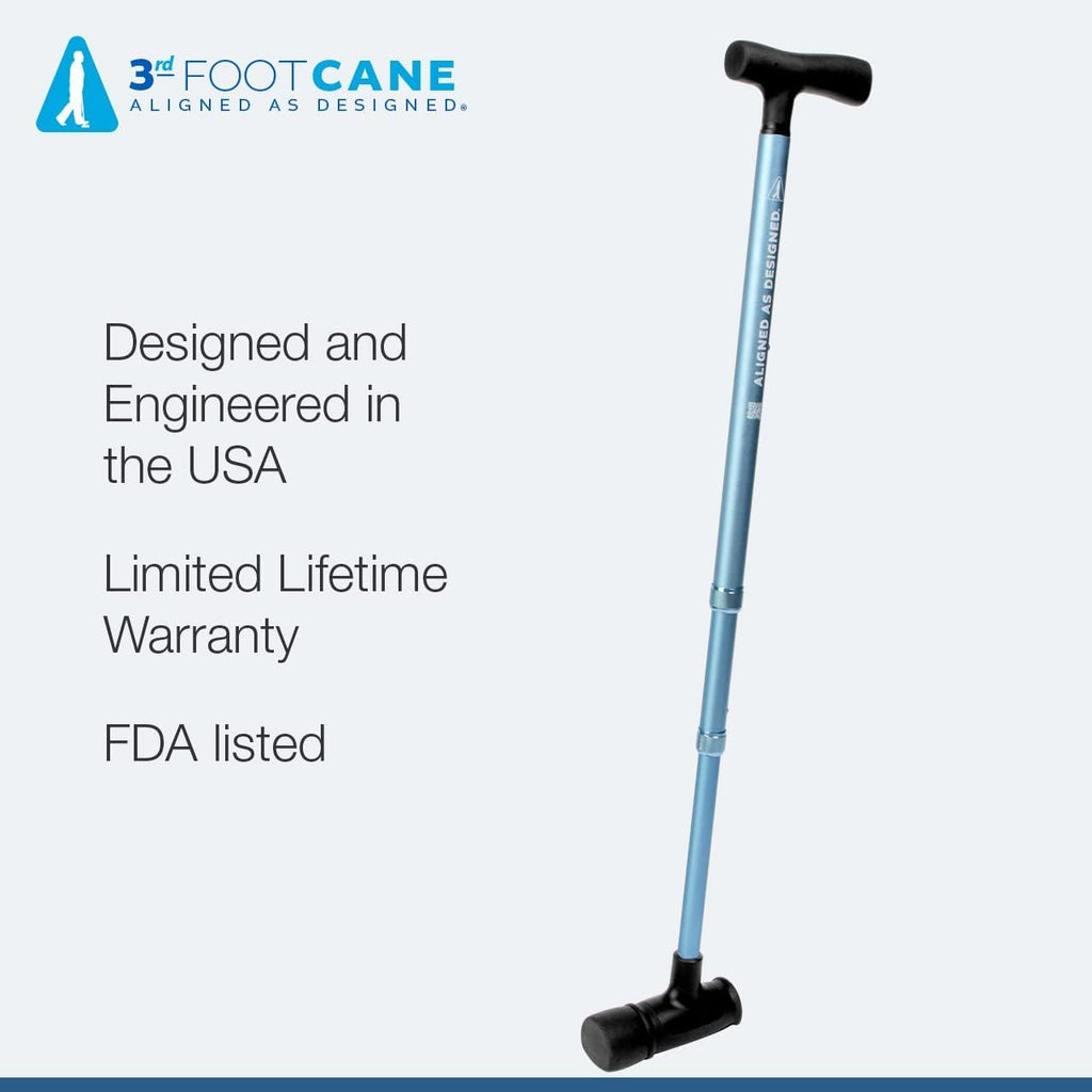 Cane Pack of 2 V975469
