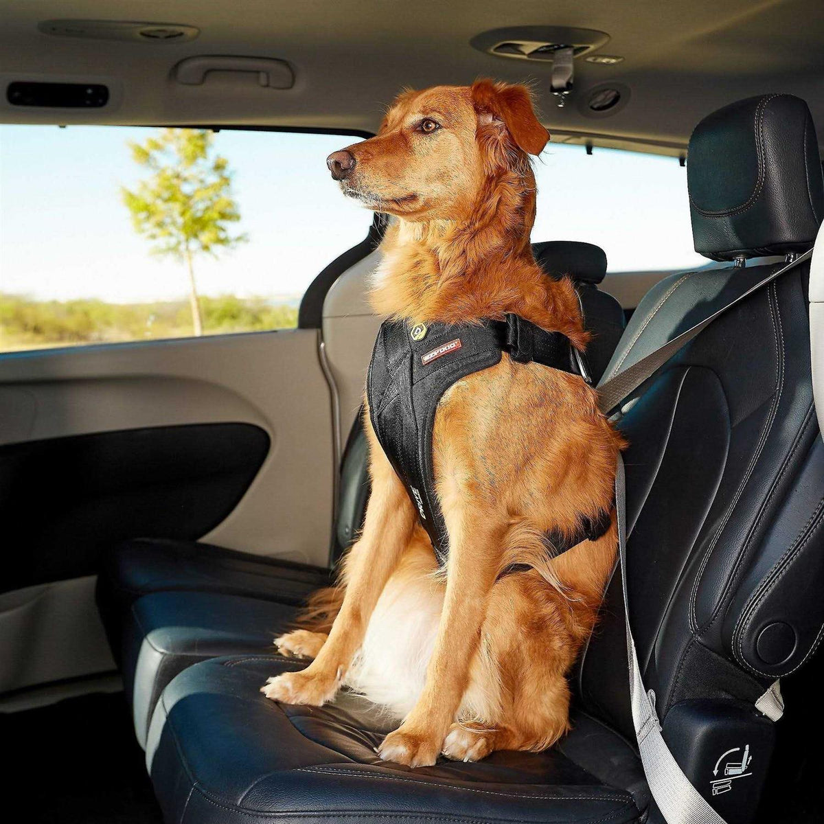 Dog Car Harness A2784