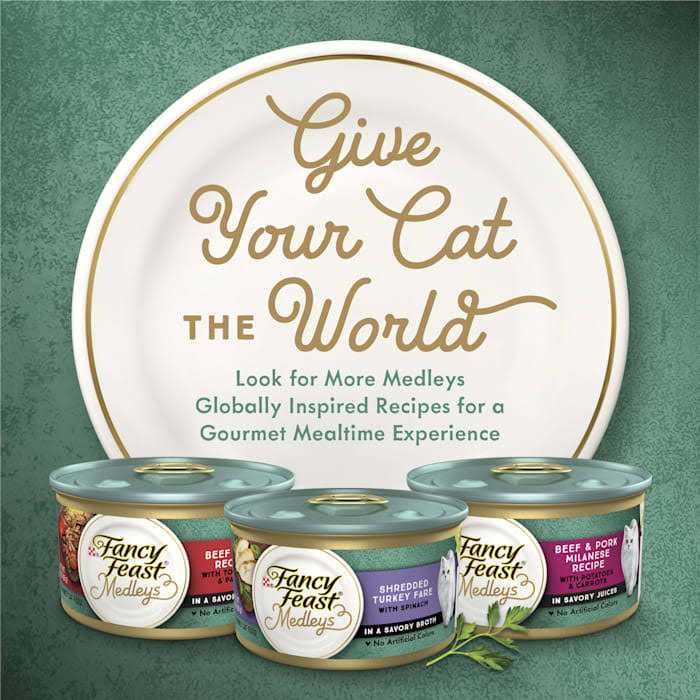 High Protein Wet Cat Food A917628