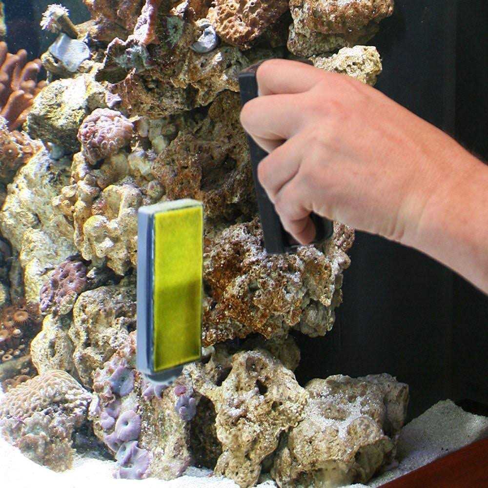 Algae Cleaning Magnet E331