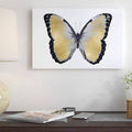 Peinture imprimé Sur Toile H140