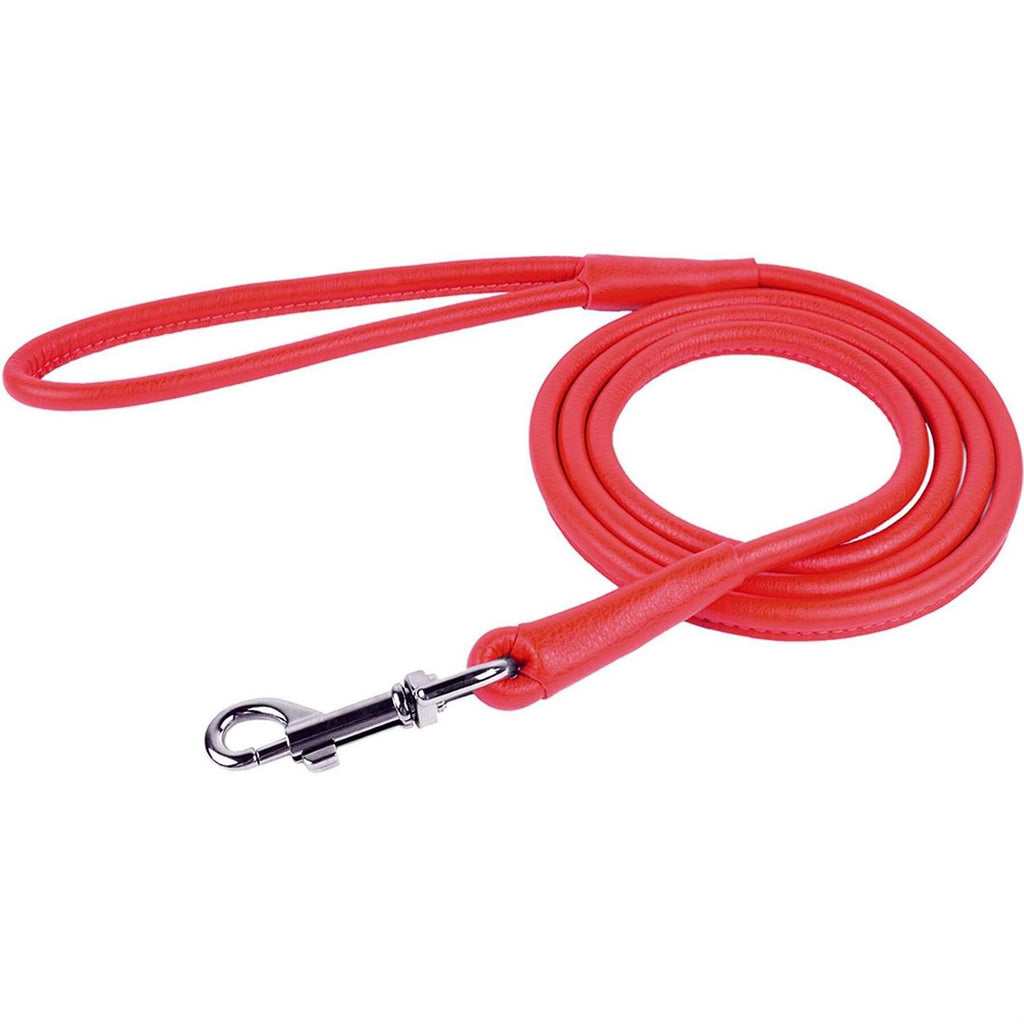 Leather Dog Leash X4546