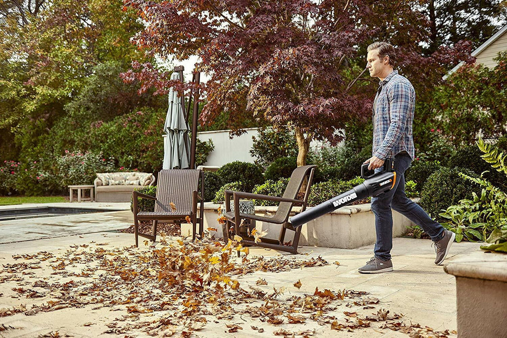 20 Volt Cordless 2 Speed Leaf Blower R953078