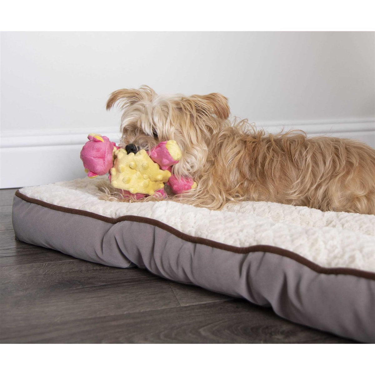 Dog Toy Y2903