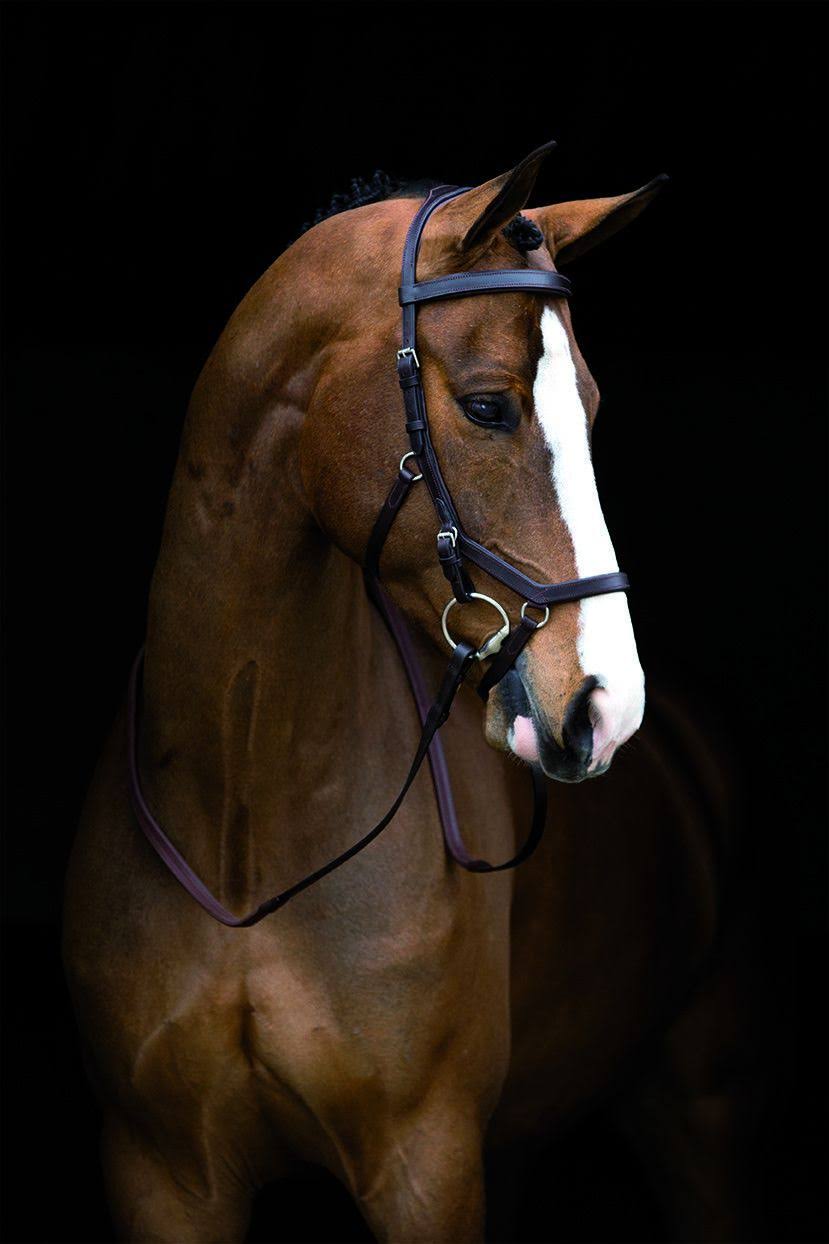 Brown Competition Bridle U964290