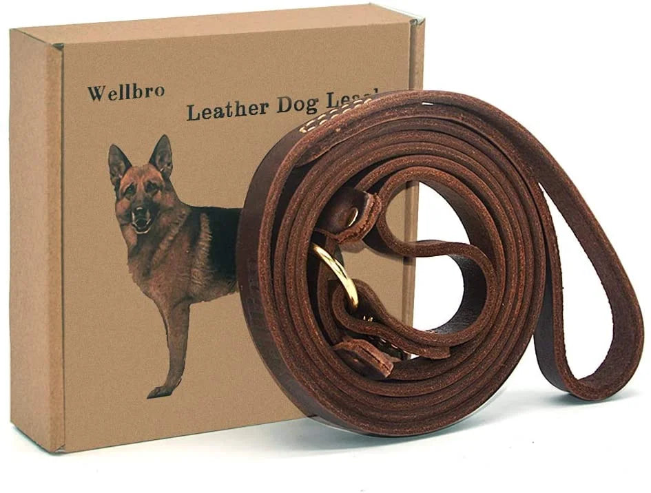 Real Leather Slip Lead Dog Leash, 5ft Long by 0.7" Wide, Brown Q6388