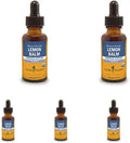 Organic Lemon Balm Liquid Extract 1 Ounce Pack of 5 Z8844