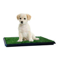 Pet Supplies V6163