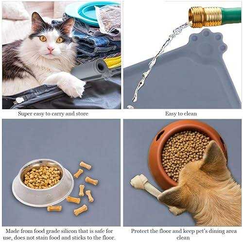 Silicone Pet Feeding Mat with Raised Edges D492