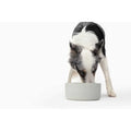 Pet Bowl N7619