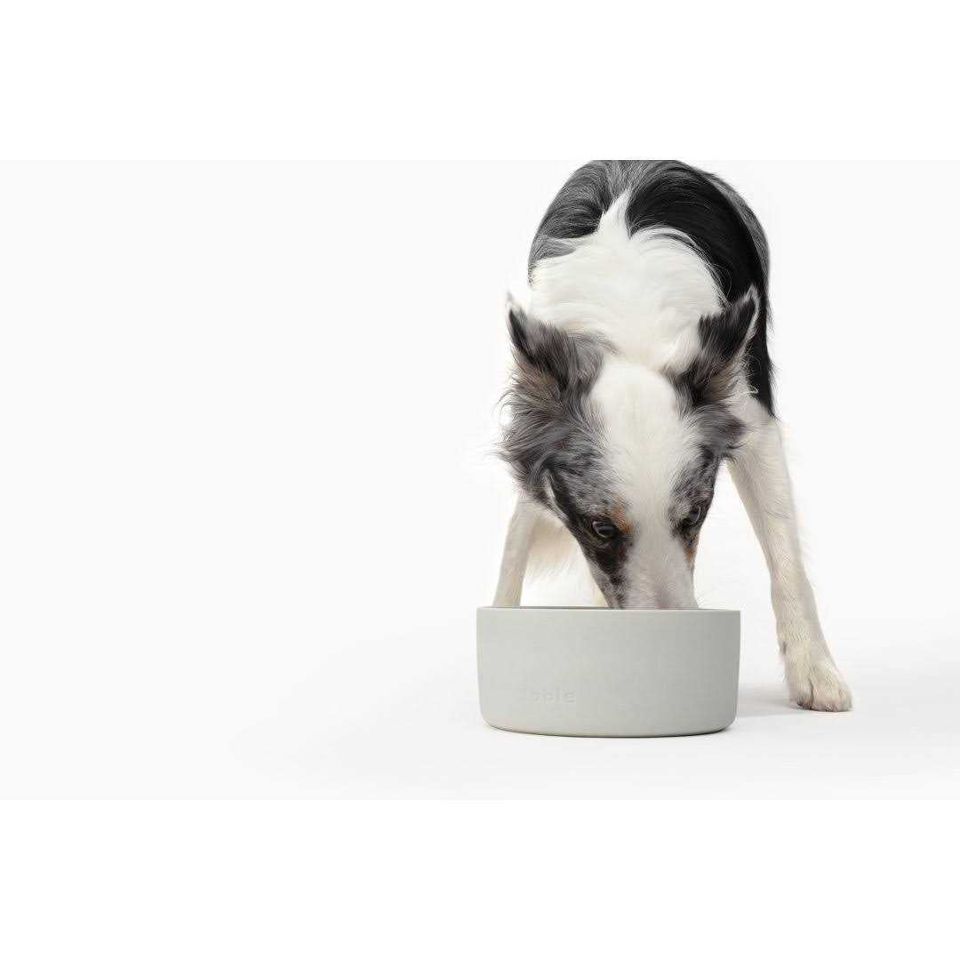 Pet Bowl N7619
