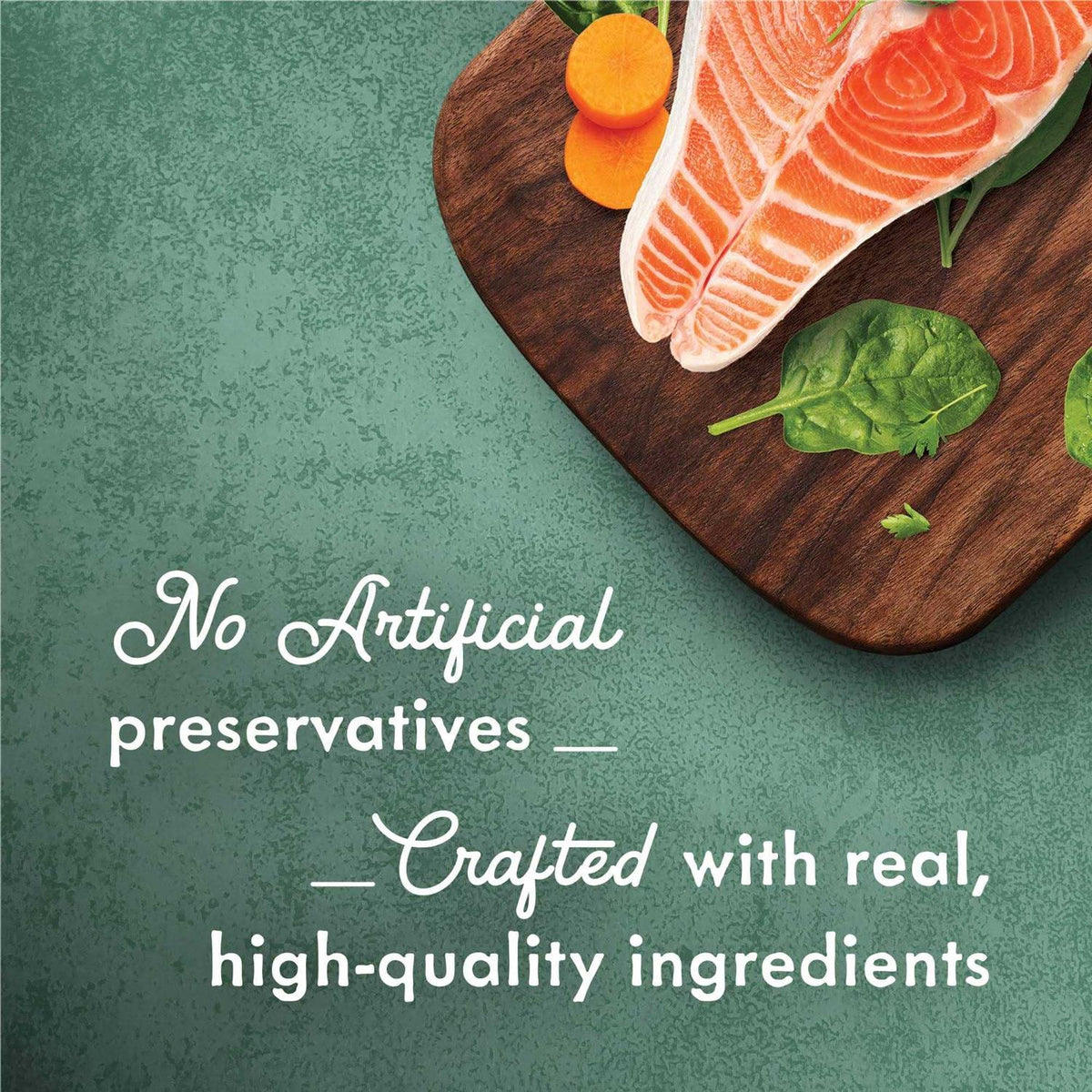 High Protein Wet Cat Food A917628