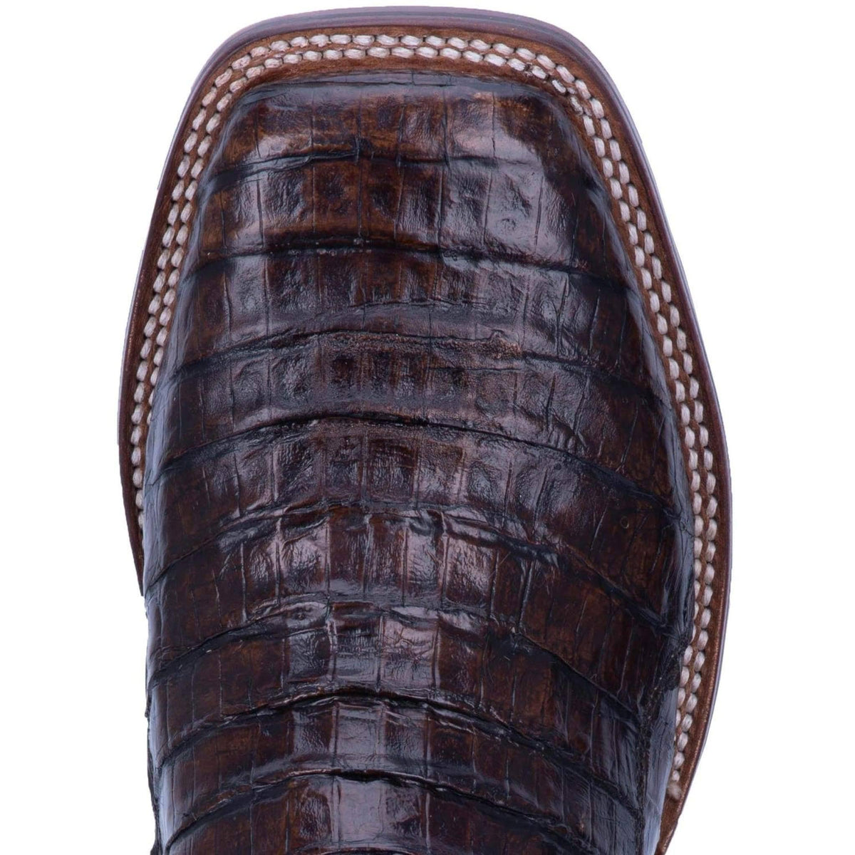 Brown Caiman Boots V4343