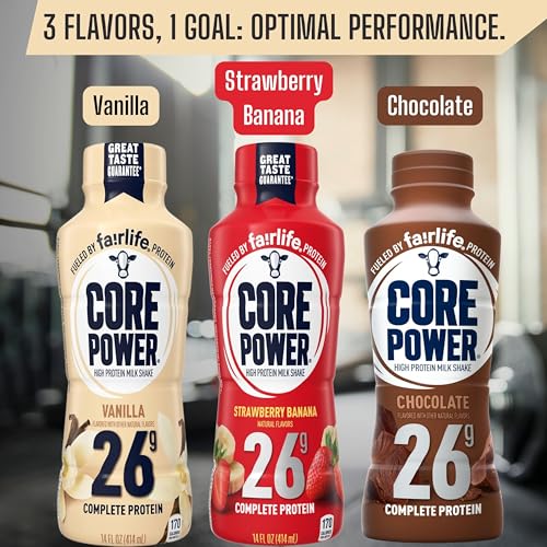 Chocolate Protein Milk Shakes, 14 Fl Oz (Pack of 12) and Key Chain G181
