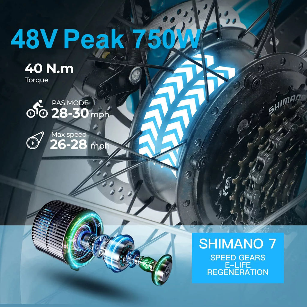 Folding Electric Bike 750W 20 inch Fat Tire 13Ah Black B823692