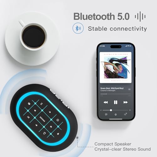Bluetooth FM Radio Alarm Clock with Night Light V94918