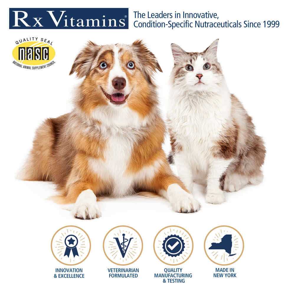 Rx Essentials for Dogs O616744