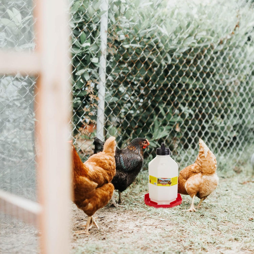 Red 7 Gallon Hanging Automatic Poultry Waterer F46257