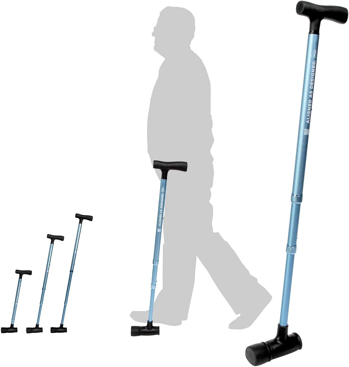 Cane Pack of 2 V975469