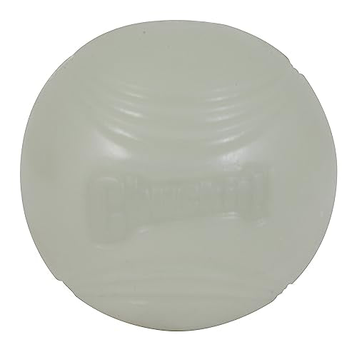 Large Glow Ball Dog Toy, 3 Inch Diameter, Pack of 1 O6968
