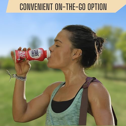 Chocolate Protein Milk Shakes, 14 Fl Oz (Pack of 12) and Key Chain G181