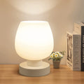 Touch Control Table Lamp with Glass Lamp Shade R240
