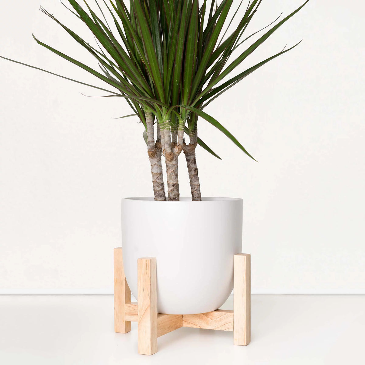 White Ceramic Egg Shaped Indoor Planter with Wood Stand Z7909